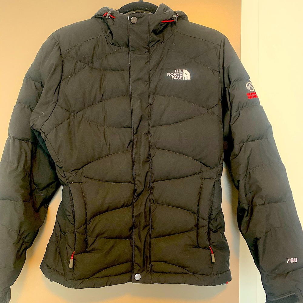 North Face Summit Series Windstopper 700 Jacket